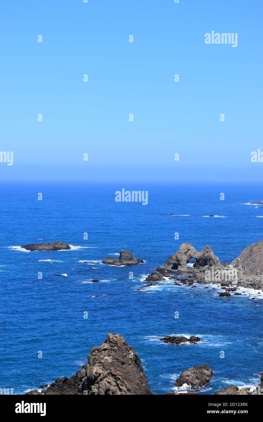 Formations rocheuses sur la côte californienne. Comté de Mendocino, Californie Banque D'Images