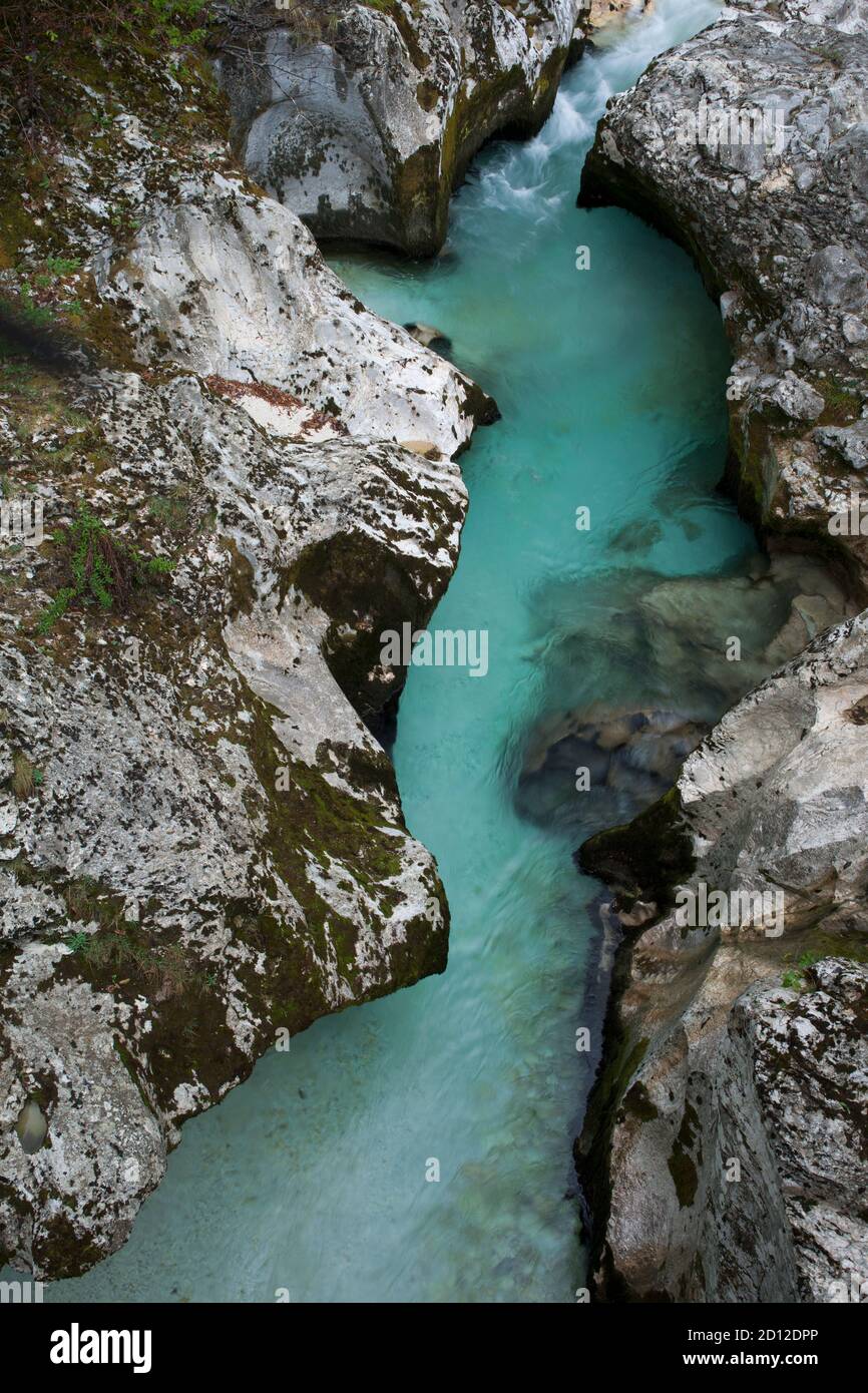 Géographie / Voyage, Slovénie, Alpes Juliennes, Soca dans les eaux profondes, droits-supplémentaires-habilitation-Info-non-disponible Banque D'Images