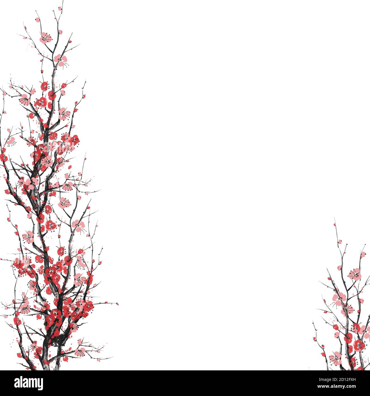Fleur de sakura réaliste - modèle de cerisier japonais vierge isolé Sur fond blanc - illustration vectorielle Illustration de Vecteur