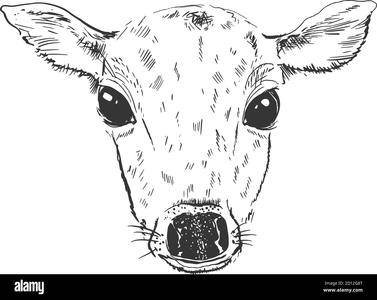 Motif d'esquisse de fauve de cerf de tête d'animal. Couleur monochrome mignonne, isolée sur fond blanc. Illustration de Vecteur