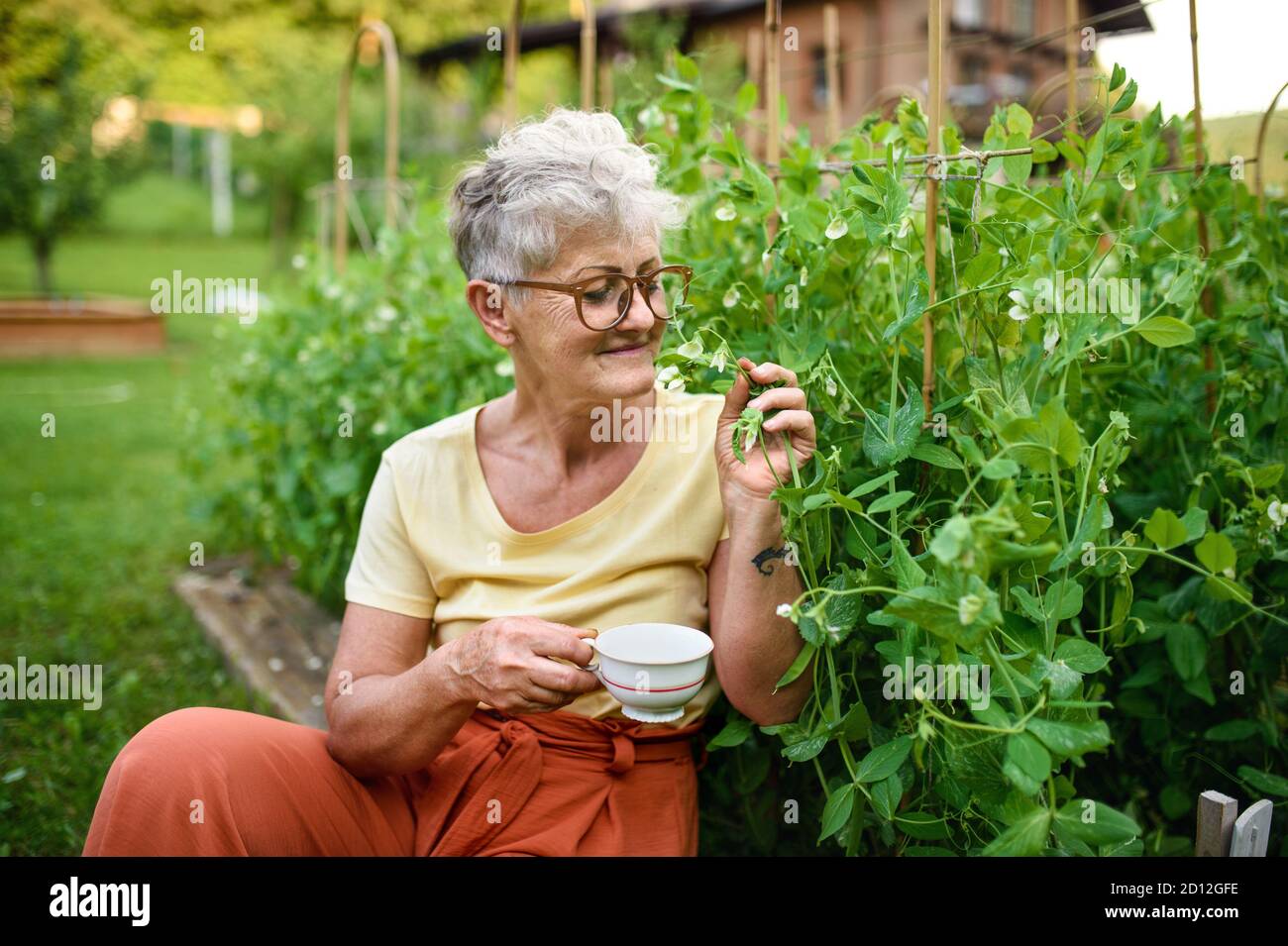 Portrait d'une femme âgée assise à l'extérieur près d'un potager, tenant une tasse de café. Banque D'Images