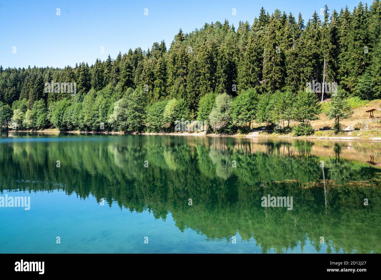 Belle vue sur un lac et une forêt sous un ciel bleu clair. Nature et tourisme concept. Photo de haute qualité Banque D'Images