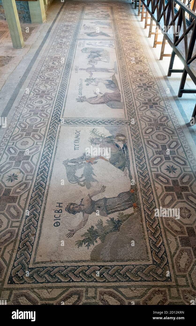 Maison de Dionysos, Paphos salle 16 mosaïque de quatre panneaux
