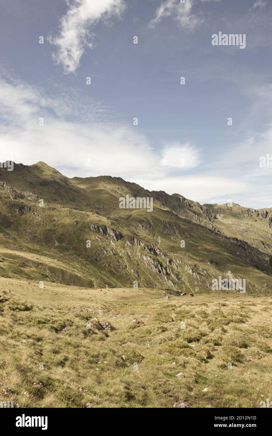 J'ai eu du bon plaisir à faire de la randonnée et à prendre des photos Dans les Alpes Banque D'Images