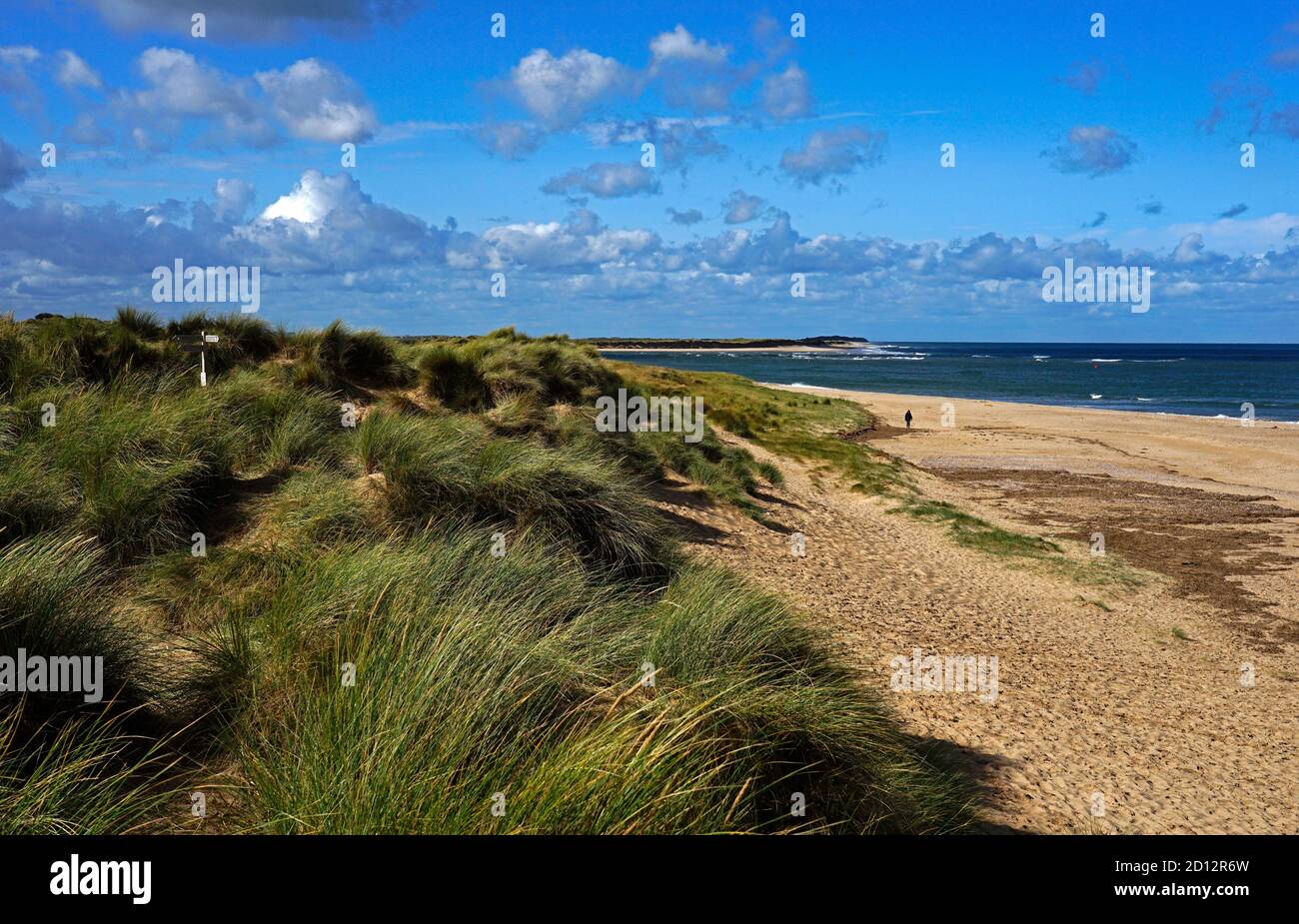 Holkham Beach et dunes de sable, Norfolk, Angleterre Banque D'Images