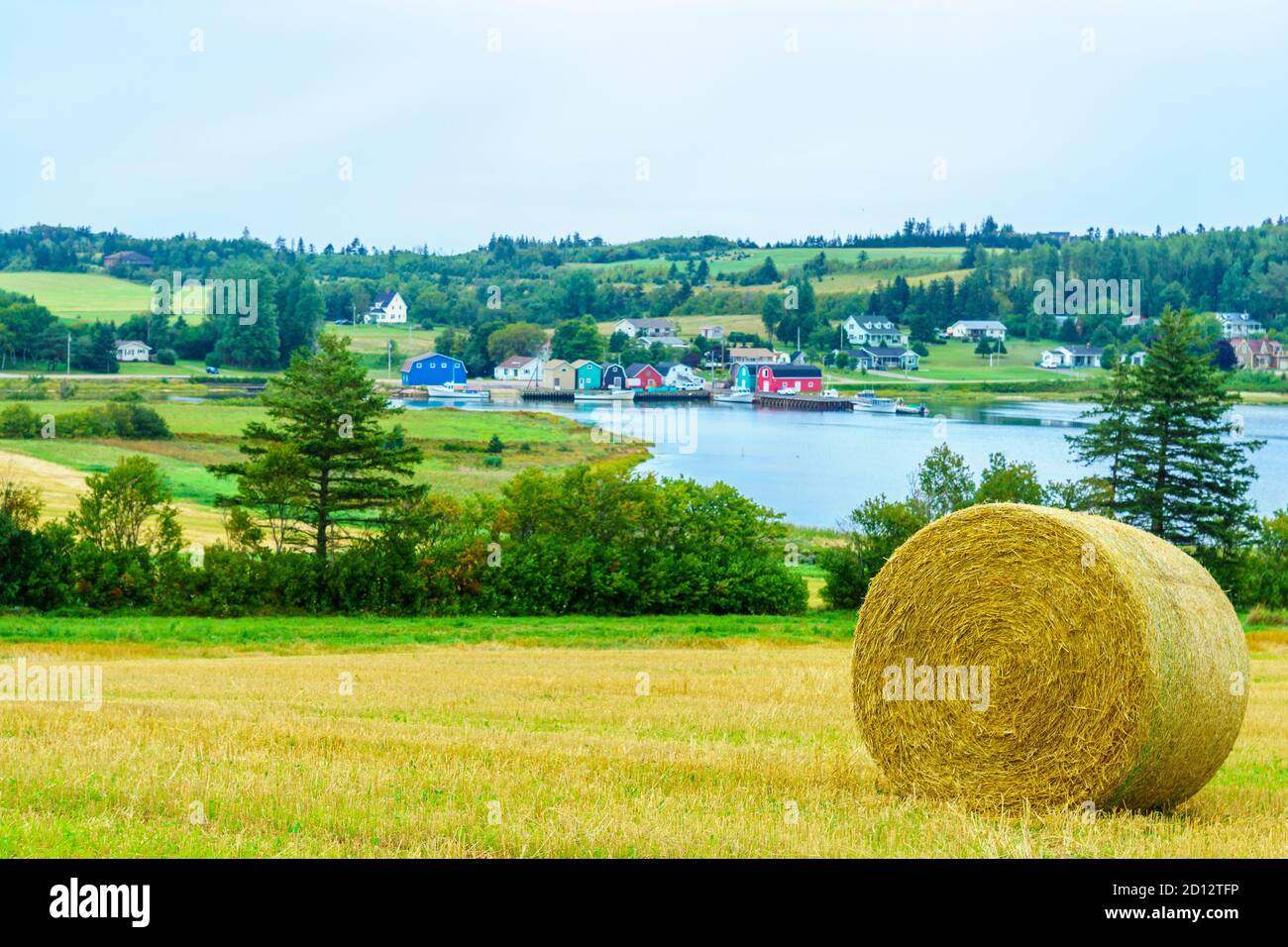 Vue sur campagne et de foin près de French River, Prince Edward Island, Canada Banque D'Images