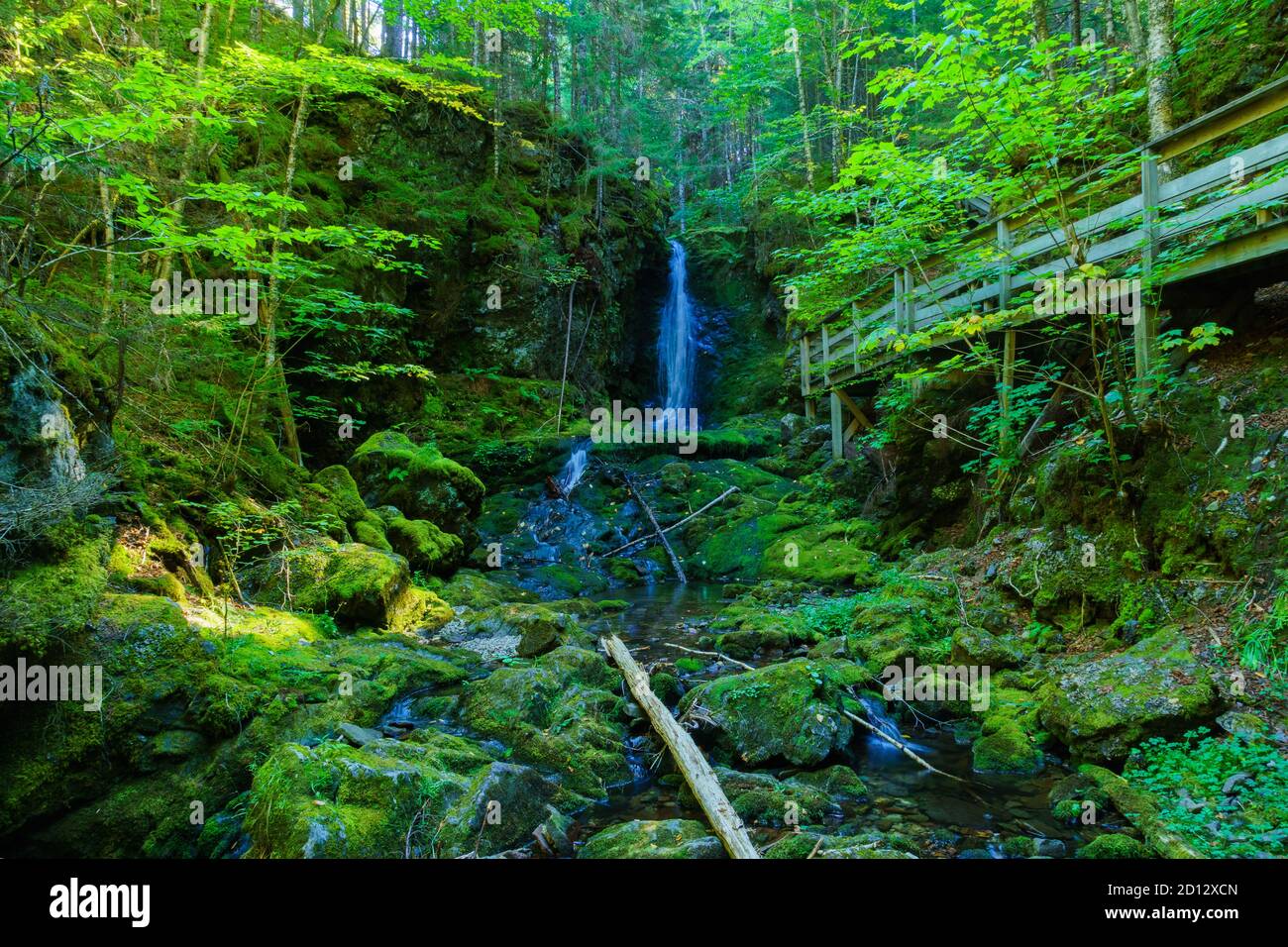 Vues le long du sentier des chutes Dickson, dans le parc national Fundy, Nouveau-Brunswick, Canada Banque D'Images