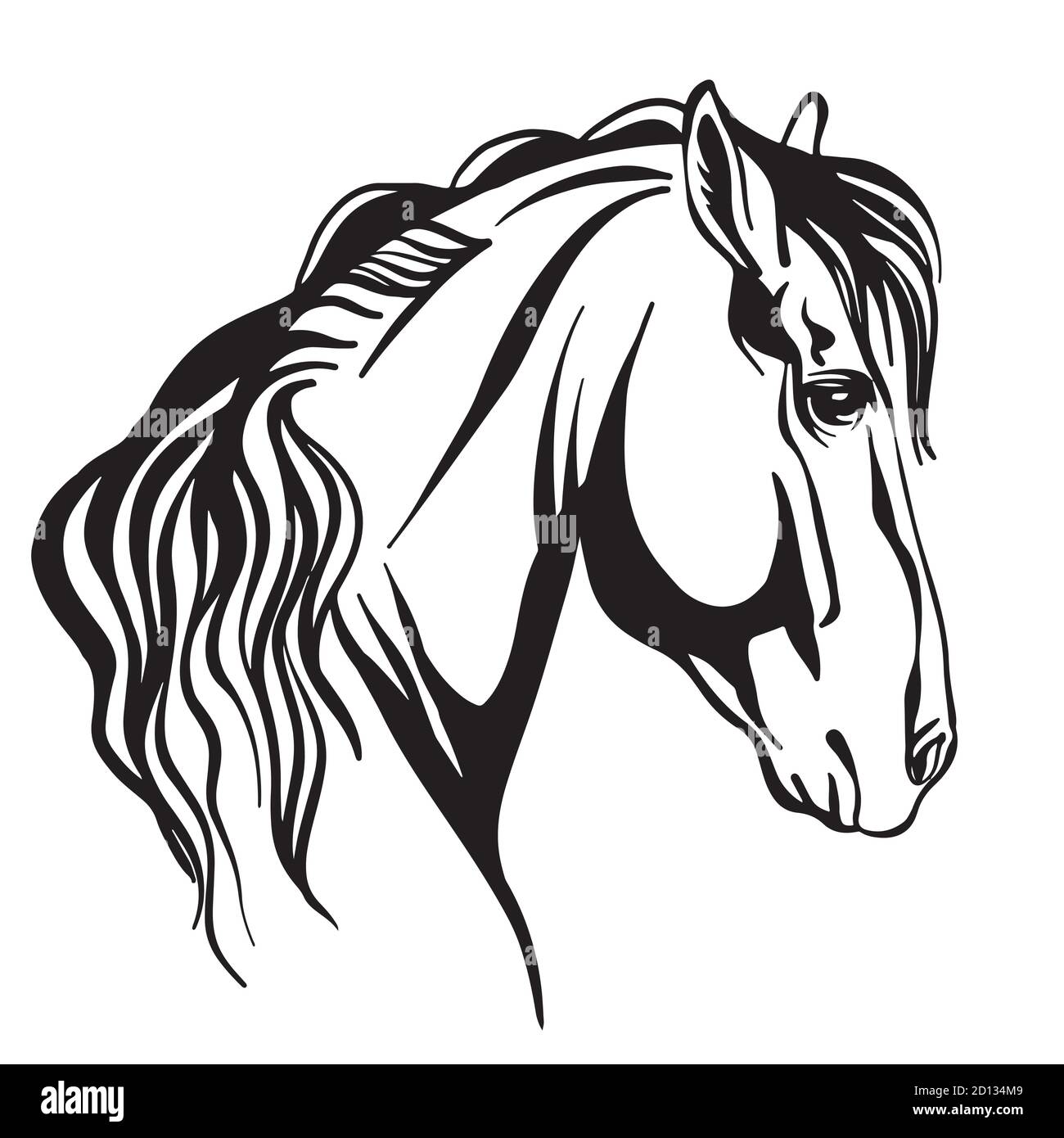 Portrait abstrait de cheval isolé de contour noir Illustration de Vecteur