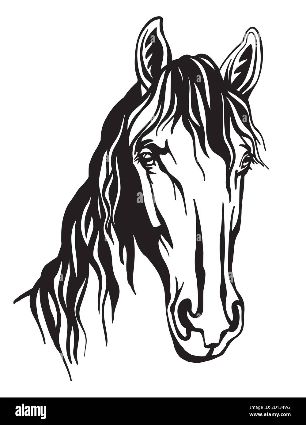Portrait abstrait de la ligne monochrome contour cheval Illustration de Vecteur