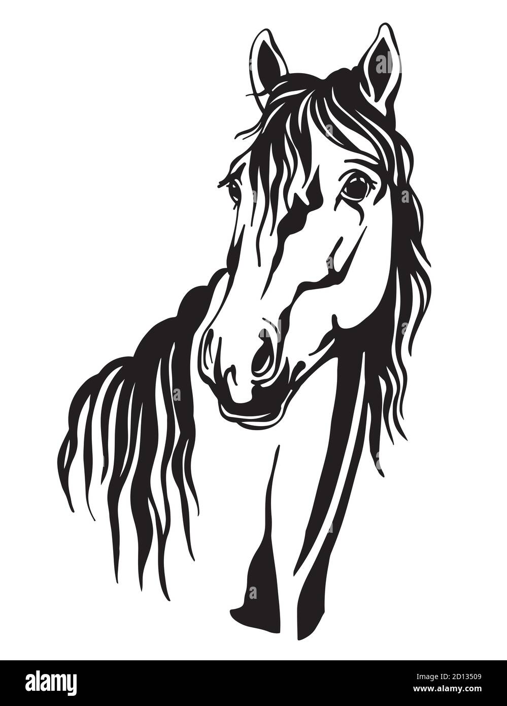 Magnifique portrait de ligne noir contour cheval Illustration de Vecteur