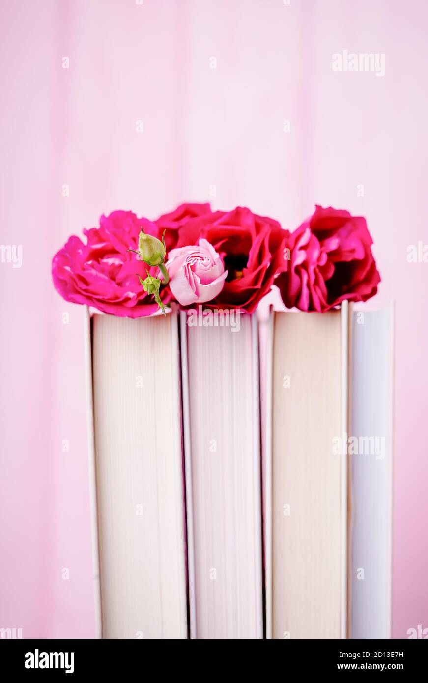 Belle eustoma rose ou lisianthus ou fleur gentiane de prairie et livres sur fond rose, espace de copie Banque D'Images