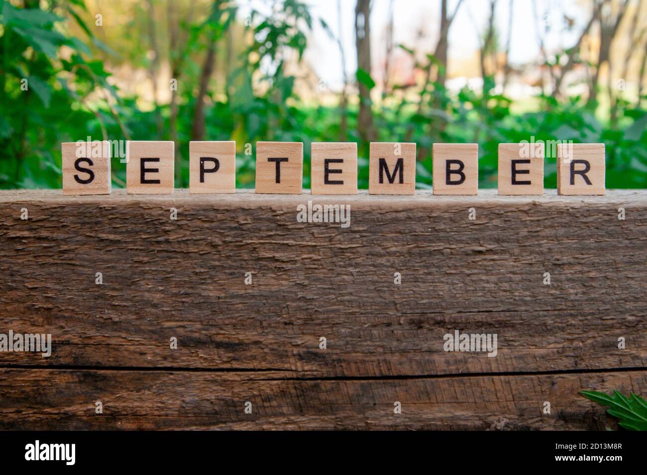 Le mot septembre est écrit en arrière-plan de lettres en bois. Concept d'automne et concept de calendrier. Copier l'espace Banque D'Images