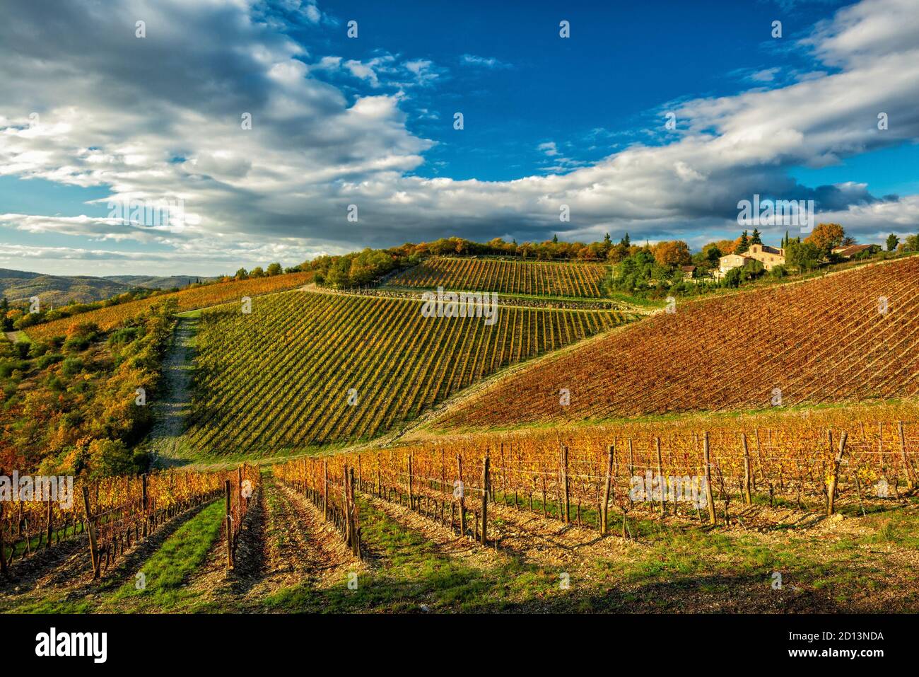 Un incroyable vignoble propre au vin Ama Chianti Classico, situé à Gaiole in Chianti, Toscane (Italie) Banque D'Images