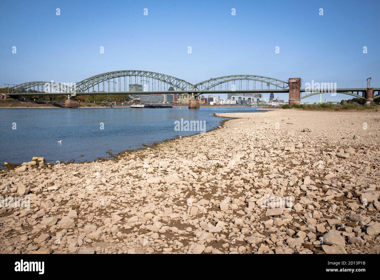 Bas niveau du Rhin, 18 septembre 2020, rives du Rhin à Cologne-Poll, Suedbruecke (pont sud), vue sur la cathédrale, Colo Banque D'Images