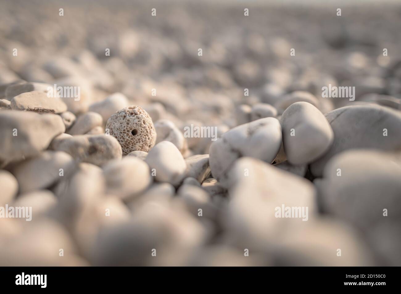Thème géologique. White Pebble Beach Rocks dans la région nord de la Croatie de Pug Island. Banque D'Images
