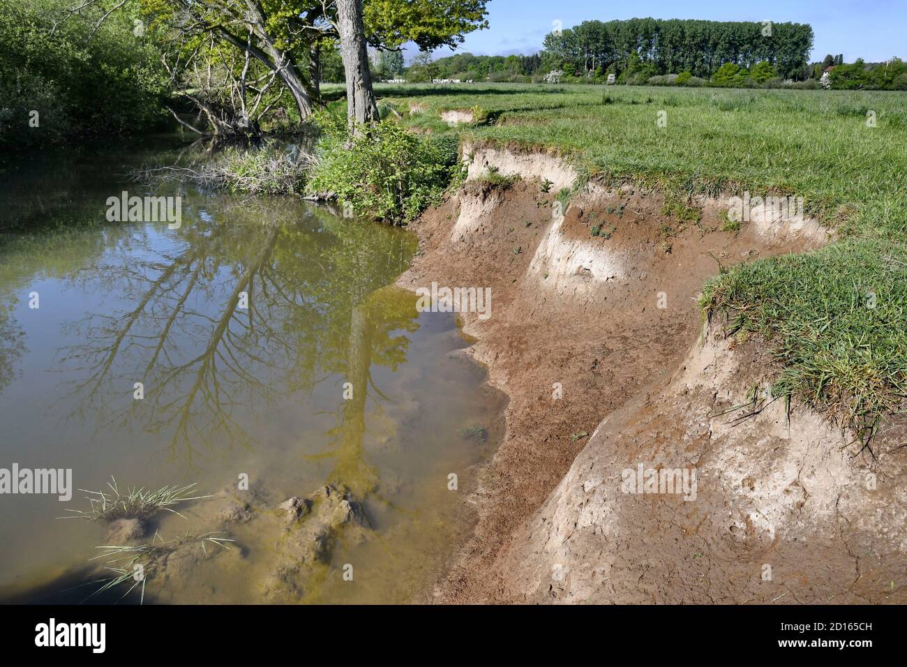 France, territoire de Belfort, Brebotte, vallée de la Bourbeuse, rive de la rivière Banque D'Images