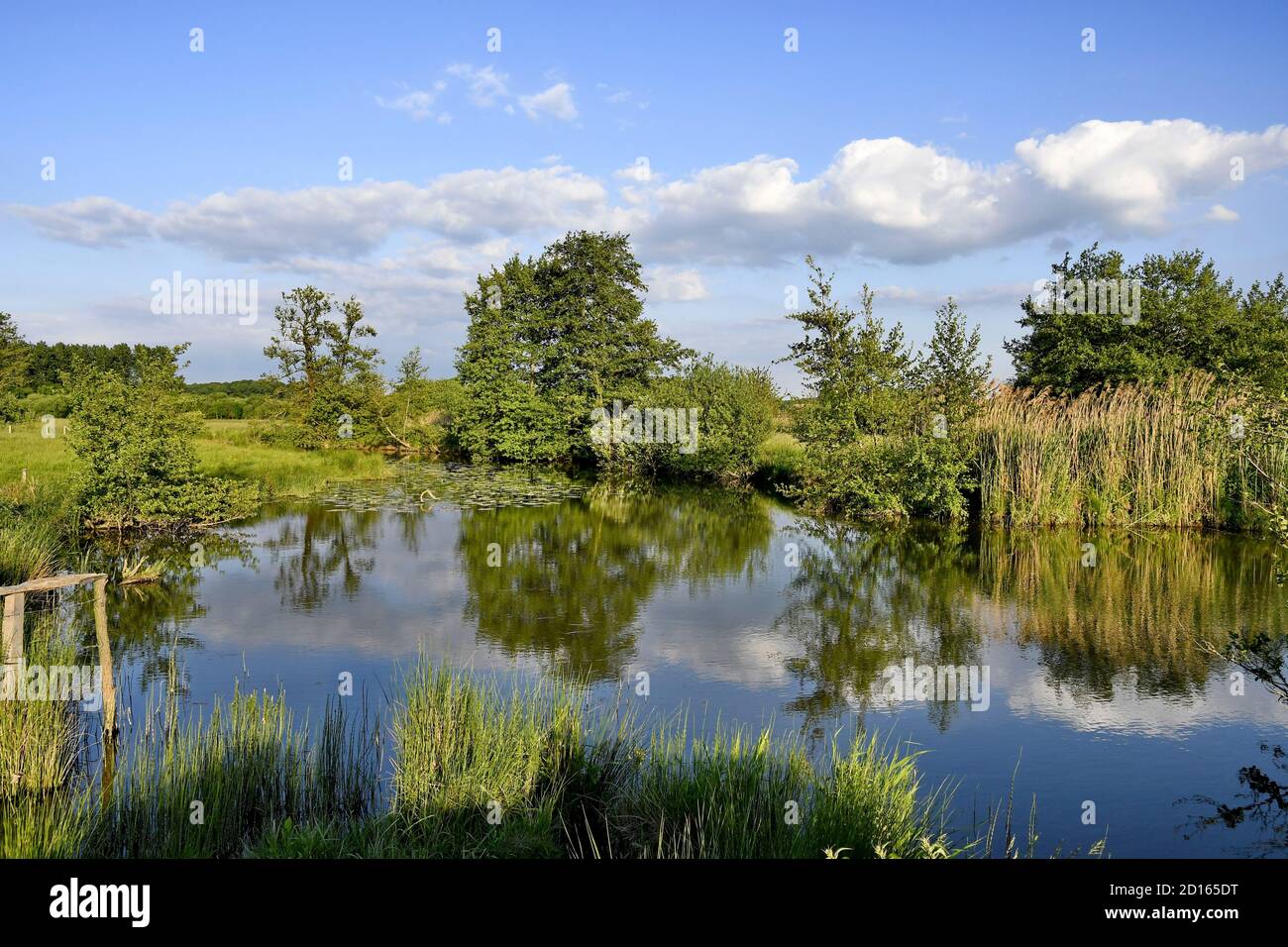 France, territoire de Belfort, Brebotte, vallée de la Bourbeuse Banque D'Images