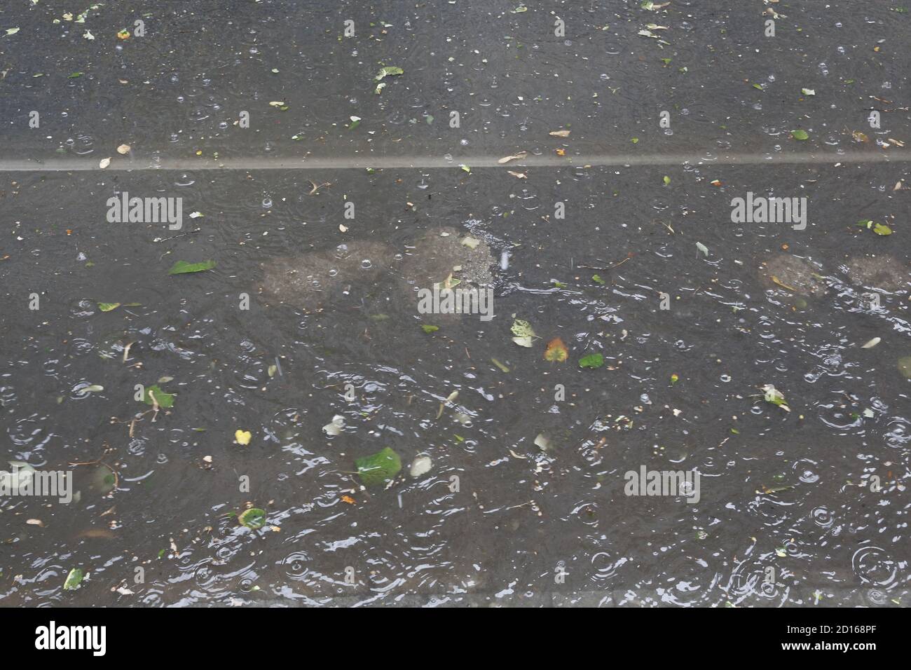 Gros plan sur les gouttes de pluie tombant sur le sol jour Banque D'Images