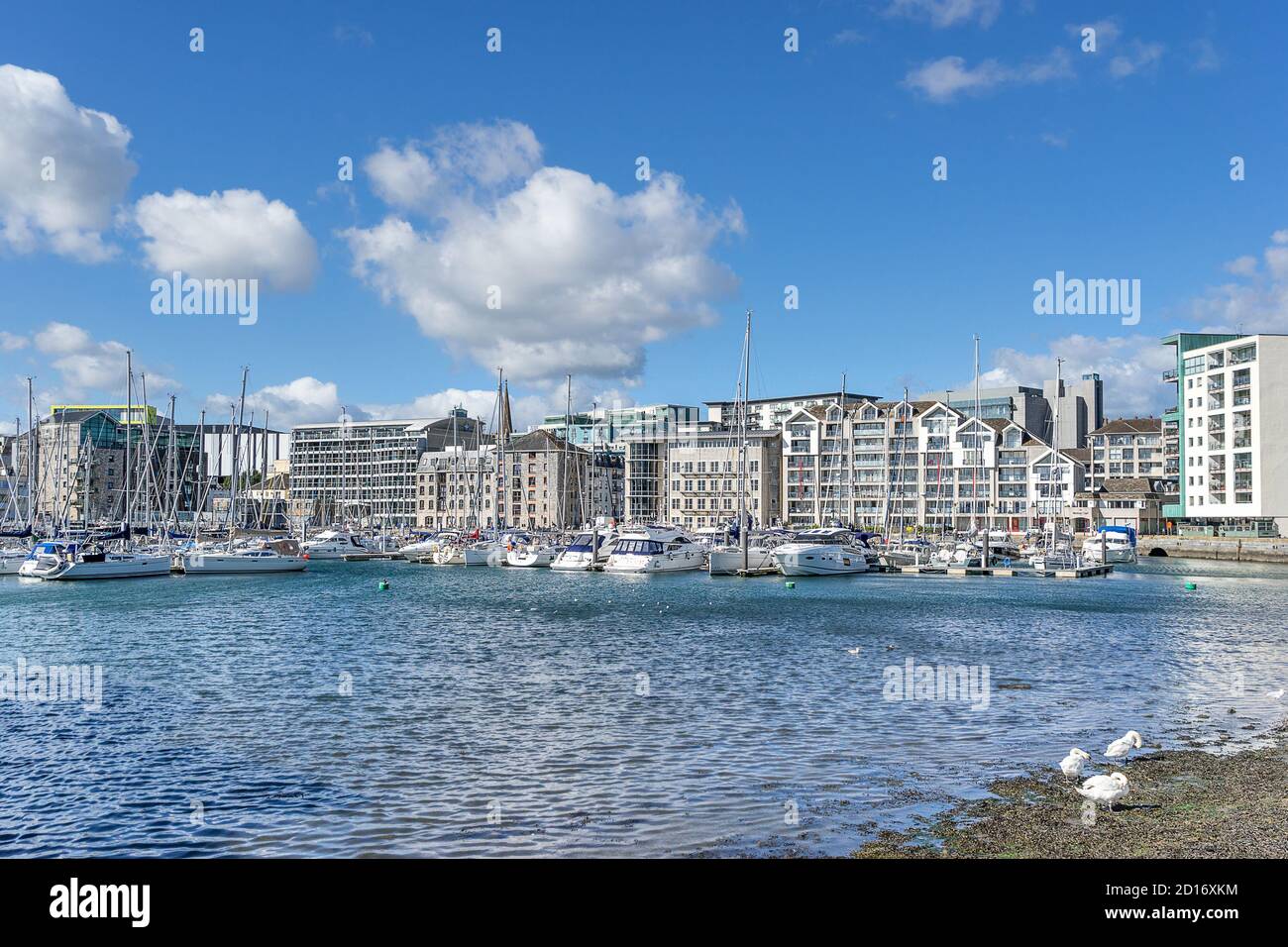 Port de plaisance de Sutton Harbour à Plymouth Devon Banque D'Images