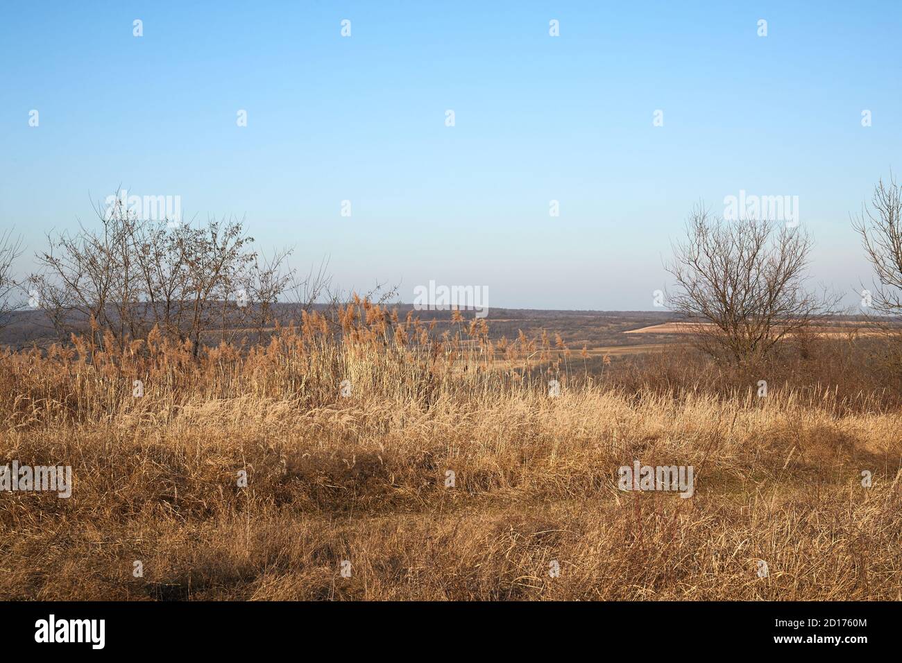 Paysage de la route de terre de Countriside, automne pâle Banque D'Images