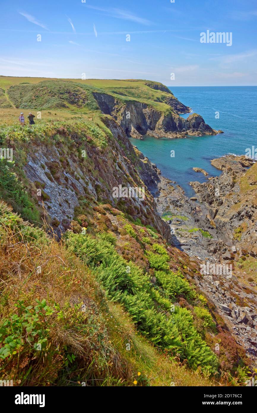 La côte de Pembrokeshire et le chemin côtier près de la ville de St David, dans le nord de Pembrokeshire, au pays de Galles. Banque D'Images