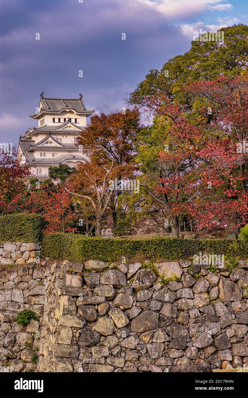 Magnifique château Himeji dans la ville Himeji dans la préfecture de Hyogo La région de Kansai au Japon en automne avec de l'érable rouge feuilles Banque D'Images