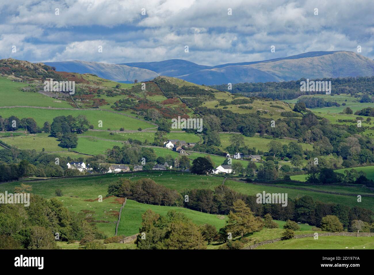 Une belle scène pastorale dans le quartier du lac anglais à la recherche Est sur Basse est tombé d'Addyfield vers Sedburgh et Le lointain Howgill Fells Banque D'Images