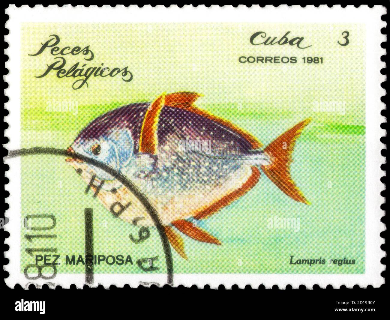 Saint-Pétersbourg, Russie - 18 septembre 2020 : timbre imprimé à Cuba l'image de l'Opah, Lampris regius, vers 1981 Banque D'Images