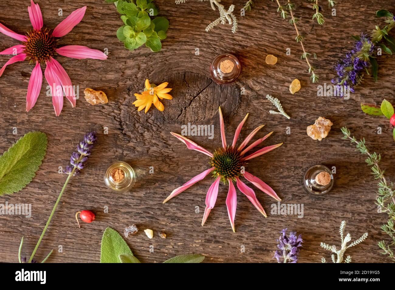 Bouteilles d'huile essentielle avec encens, lavande, hyssop, échinacée et autres herbes Banque D'Images