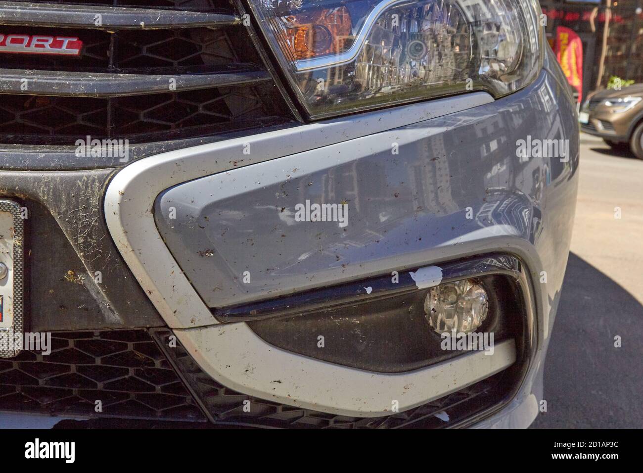 insectes sur la voiture sur la peinture du bouclier. Banque D'Images