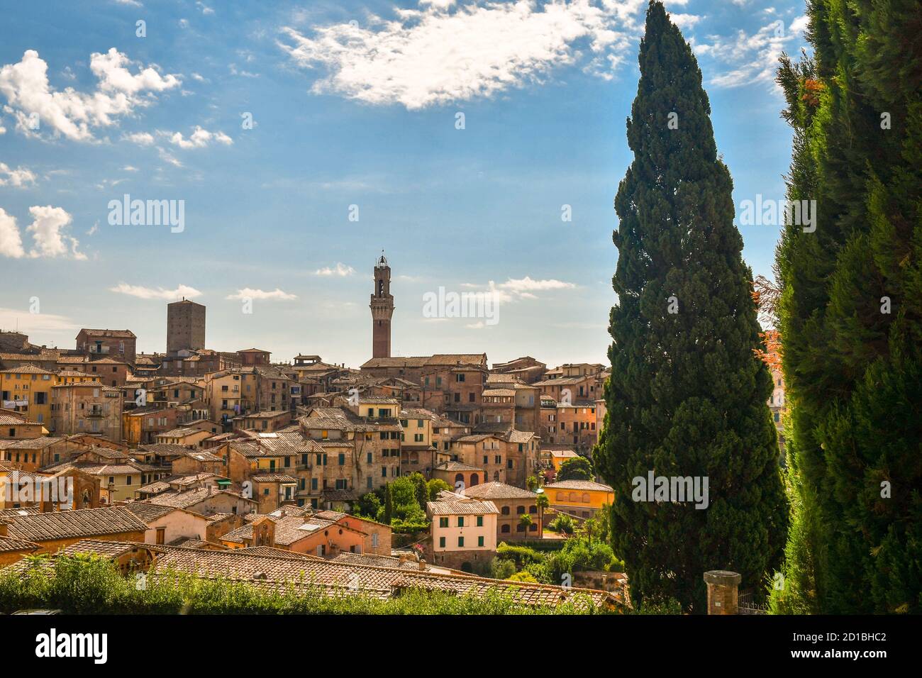 Paysage urbain du centre de Sienne, UNESCO W.H. Site, avec les tours médiévales Torre del Mangia et Torre dell'Orsa dans une journée ensoleillée d'été, Toscane, Italie Banque D'Images