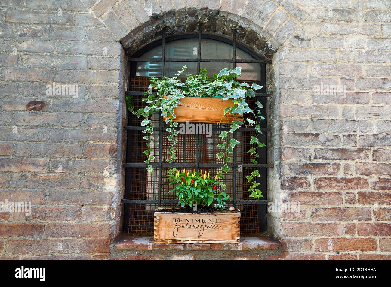 Gros plan de la fenêtre voûtée d'une maison médiévale en brique avec des plantes en pot (lierre, poivrons) sur le rebord de la fenêtre, Sienne, Toscane, Italie Banque D'Images