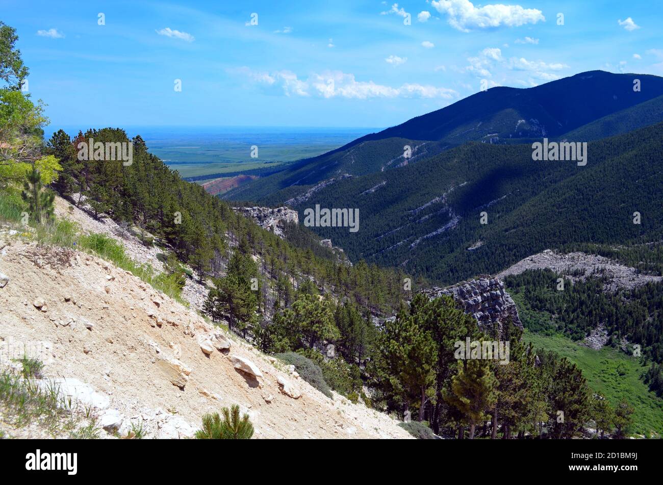 Montana - Canyon forestier national Bighorn Banque D'Images