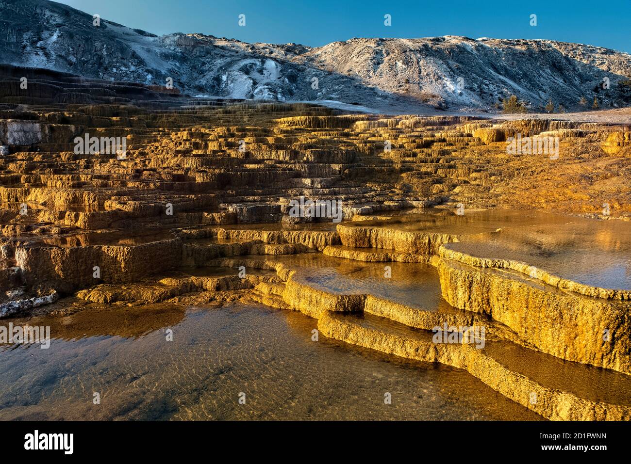 Mammoth Hot Springs, au lever du soleil, parc national de Yellowstone, Wyoming, États-Unis Banque D'Images