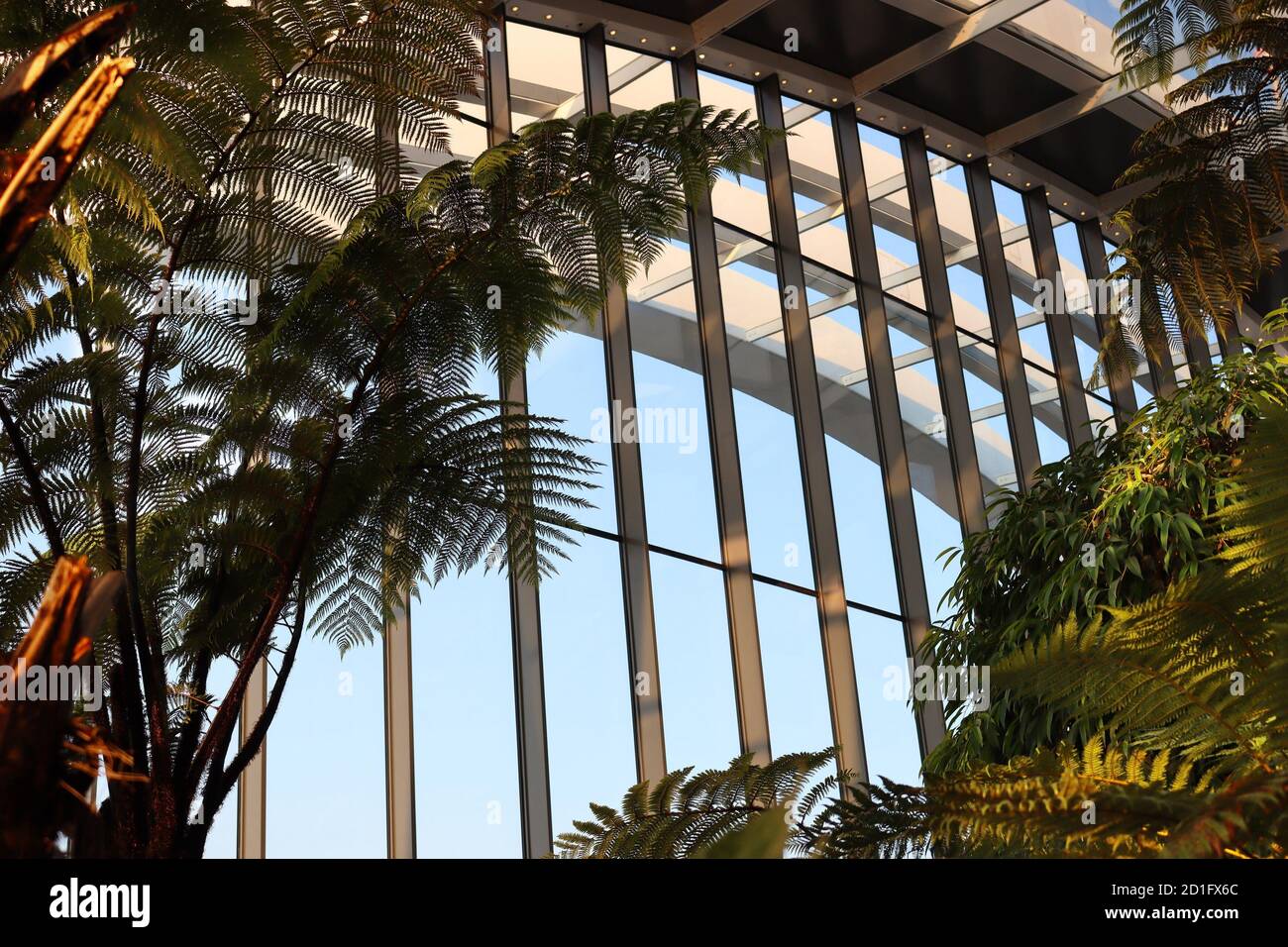 Intérieur de Sky Garden , Londres , Royaume-Uni Banque D'Images