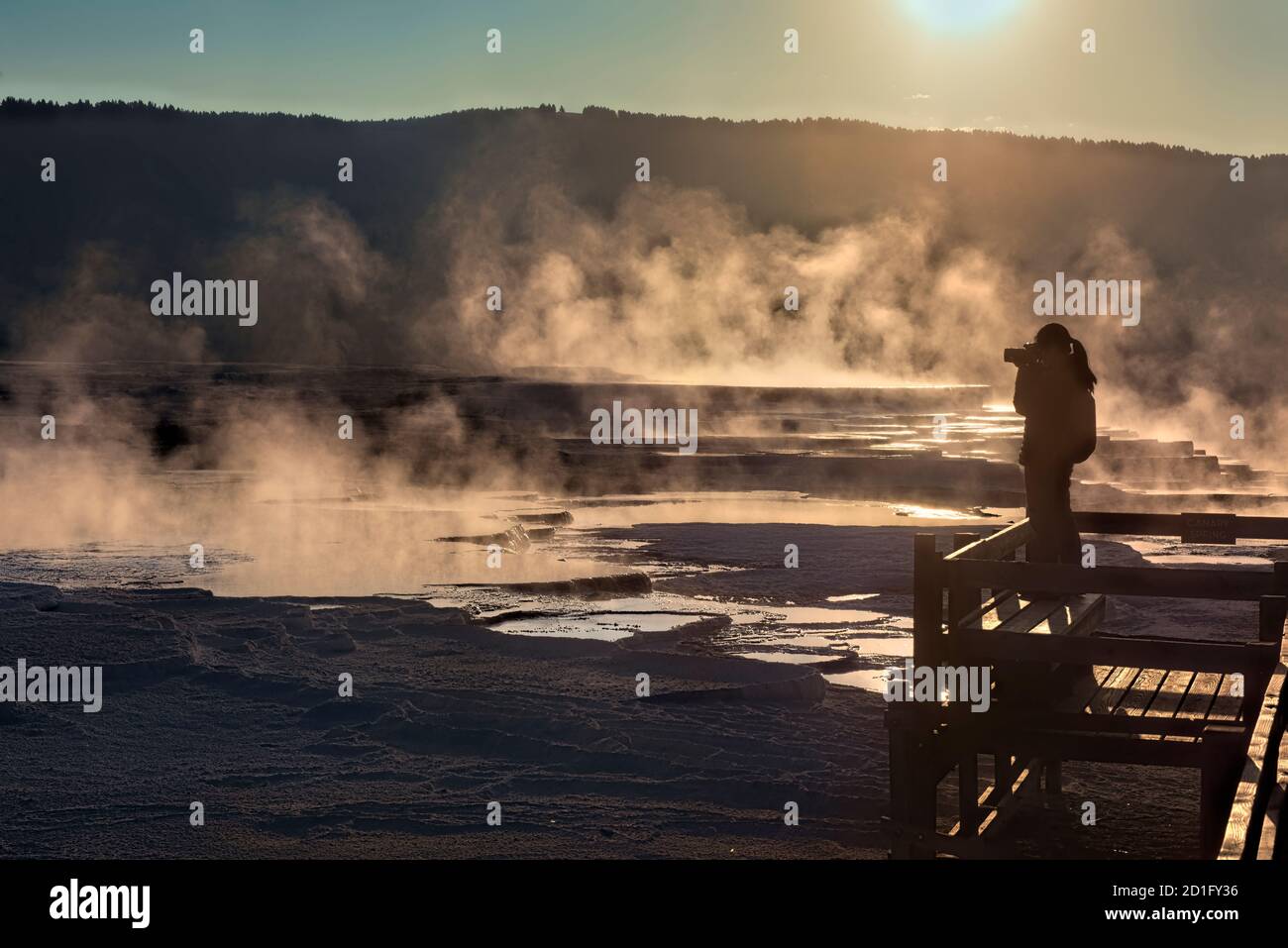 Mammoth Hot Springs, au lever du soleil, parc national de Yellowstone, Wyoming, États-Unis Banque D'Images