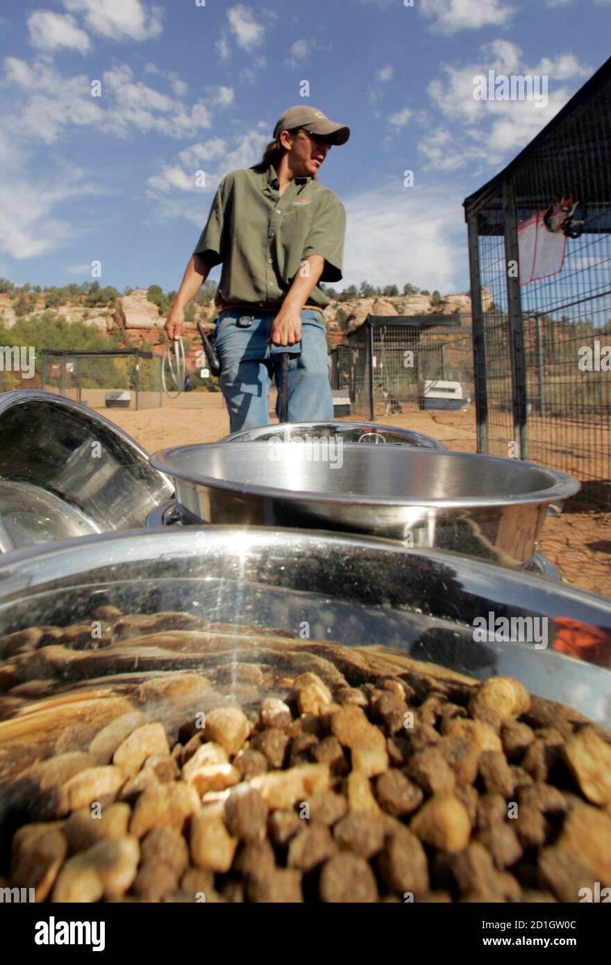 Kersten Muthreich uses a wagon to carry dishes of food to dogs rescued from  Lebanon, at the Best Friends Animal Sanctuary near Kanab, Utah September  26, 2006. About 300 dogs and cats,
