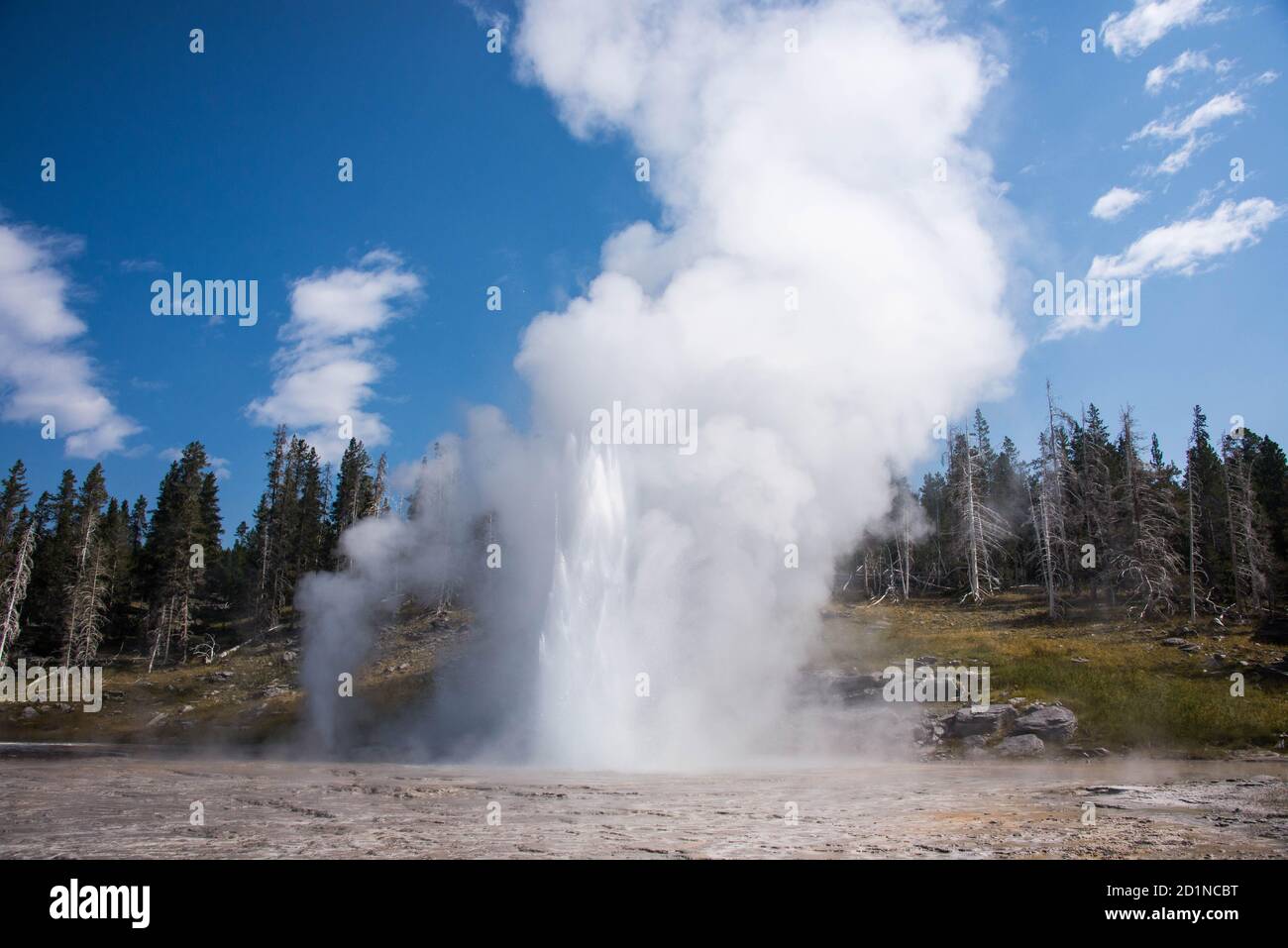 Grand Geyser en éruption, Upper Geyser Basin, parc national de Yellowstone, Wyoming, États-Unis Banque D'Images