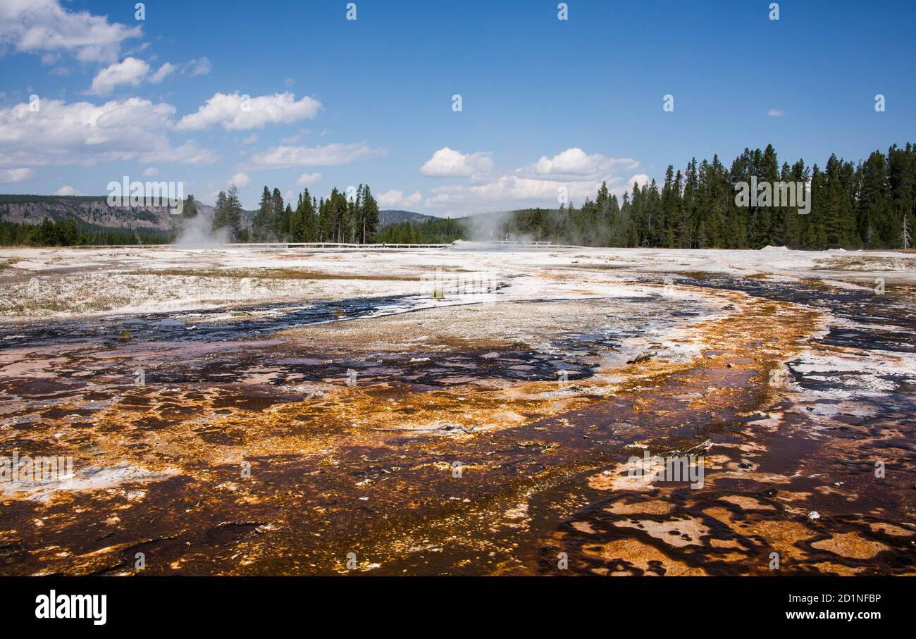 Tapis bactérien, Upper Geyser Basin, parc national de Yellowstone, Wyoming, États-Unis. Banque D'Images