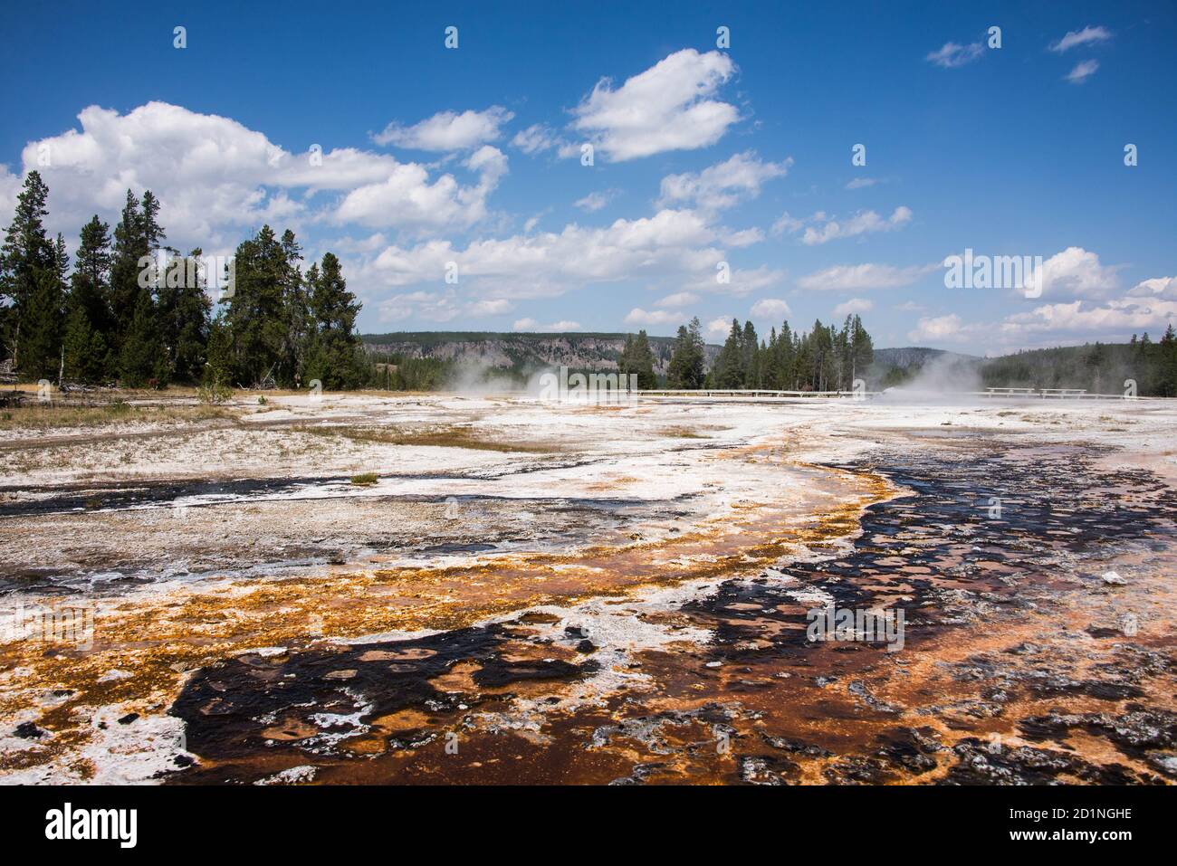 Tapis bactérien, Upper Geyser Basin, parc national de Yellowstone, Wyoming, États-Unis. Banque D'Images