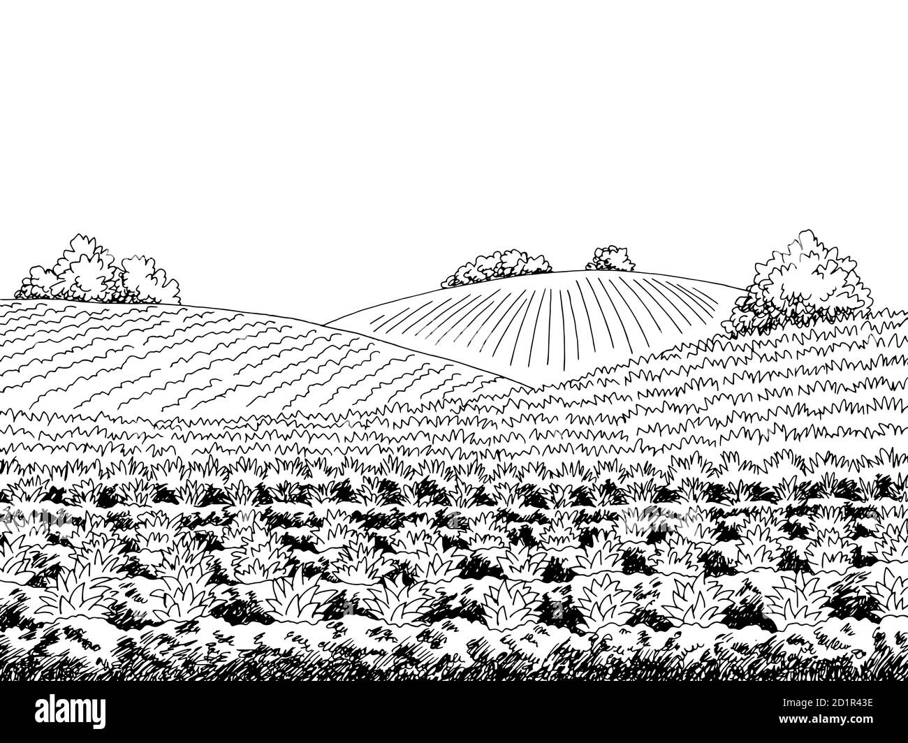 Field agriculture graphique noir blanc paysage dessin illustration vecteur Illustration de Vecteur