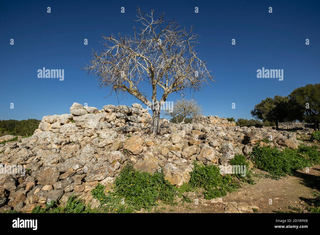 conjunto prehistórico de Capocorb Vell, principios del primer milenio a. C. (Edad de Hierro), Monumento Histórico Artístico, Llucmajor, Mallorca, Bal Banque D'Images
