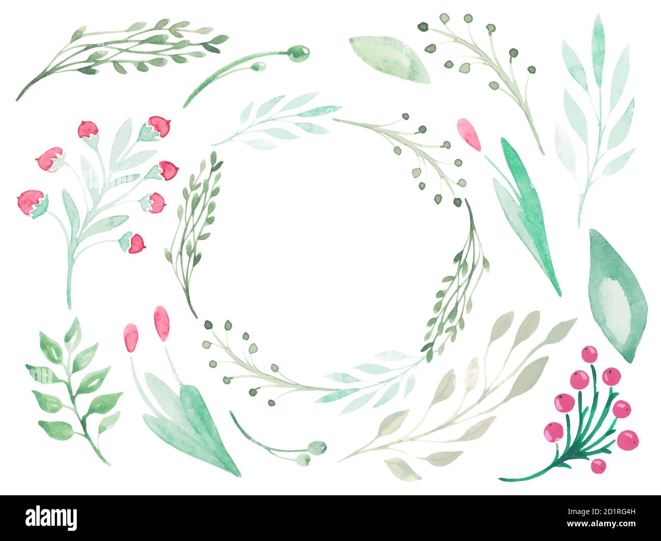 Ensemble floral d'éléments sur fond blanc. Fleurs de verdure branches pour la décoration et les invitations. Cadre en éléments botaniques Illustration de Vecteur