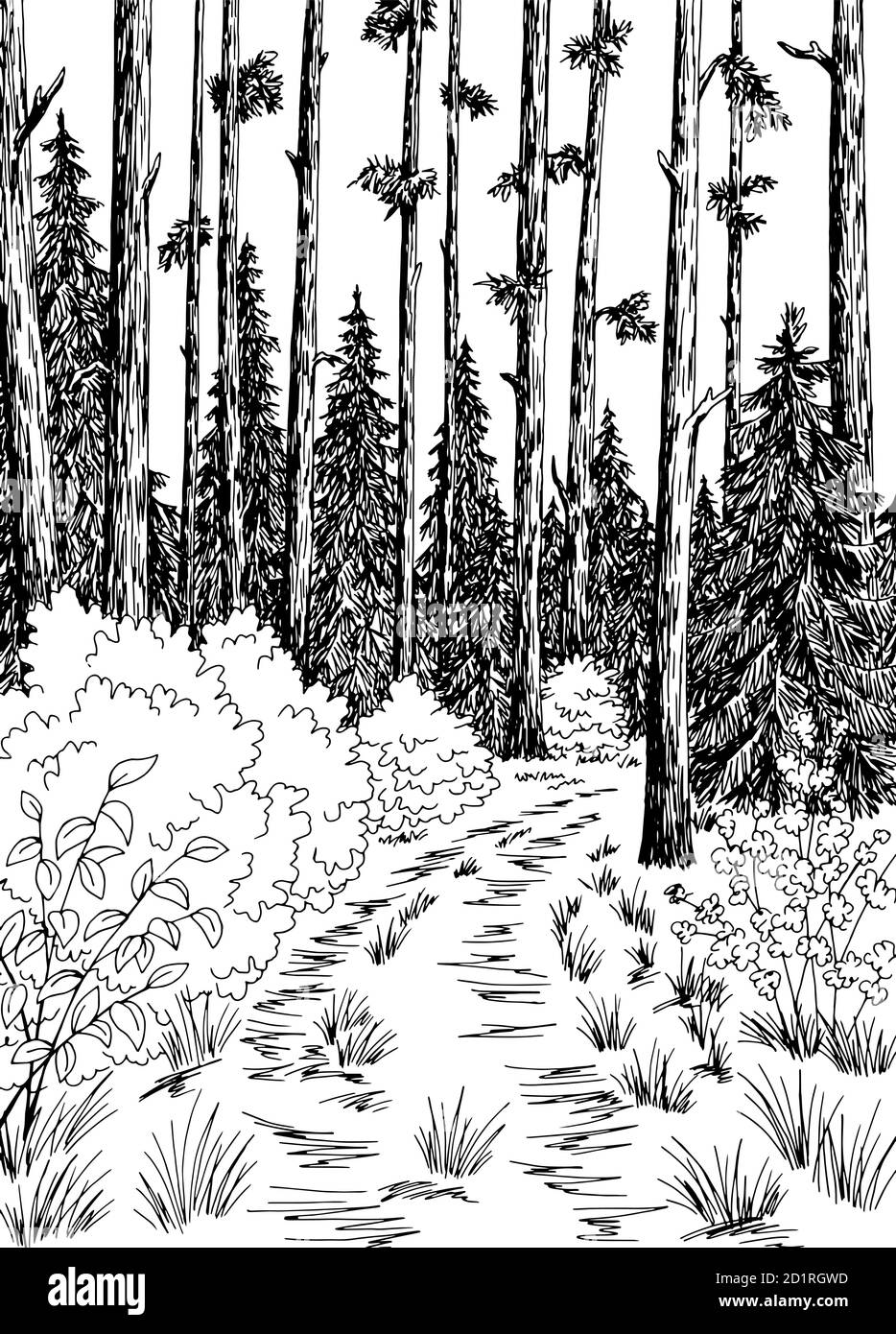Graphique de route de forêt noir blanc vertical paysage dessin vecteur d'illustration Illustration de Vecteur