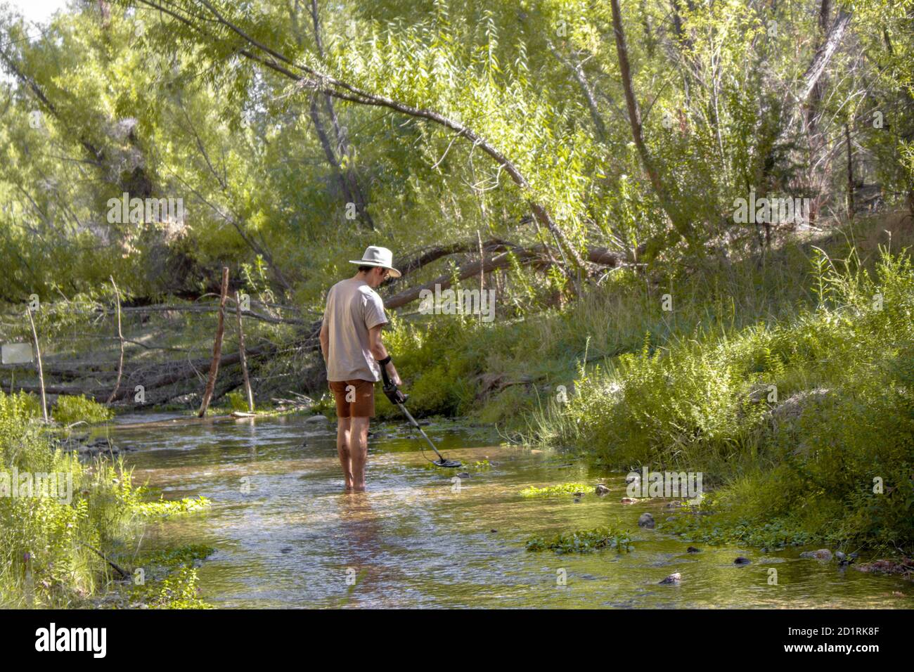 Le prospecteur utilise un détecteur de métal pour le Trésor d'or perdu de la catastrophe du barrage de Walnut Grove dans la rivière Hassayampa à l'extérieur de Kirkland, Arizona, États-Unis Banque D'Images