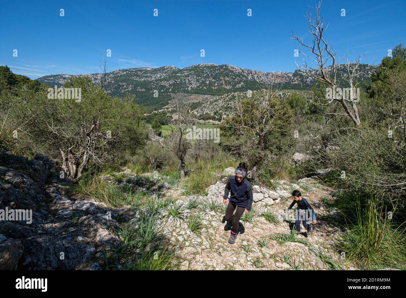 camino del pas de s'Escaleta, valle de Orient, sierra de Tramuntana, Majorque, Iles Baléares, Espagne Banque D'Images