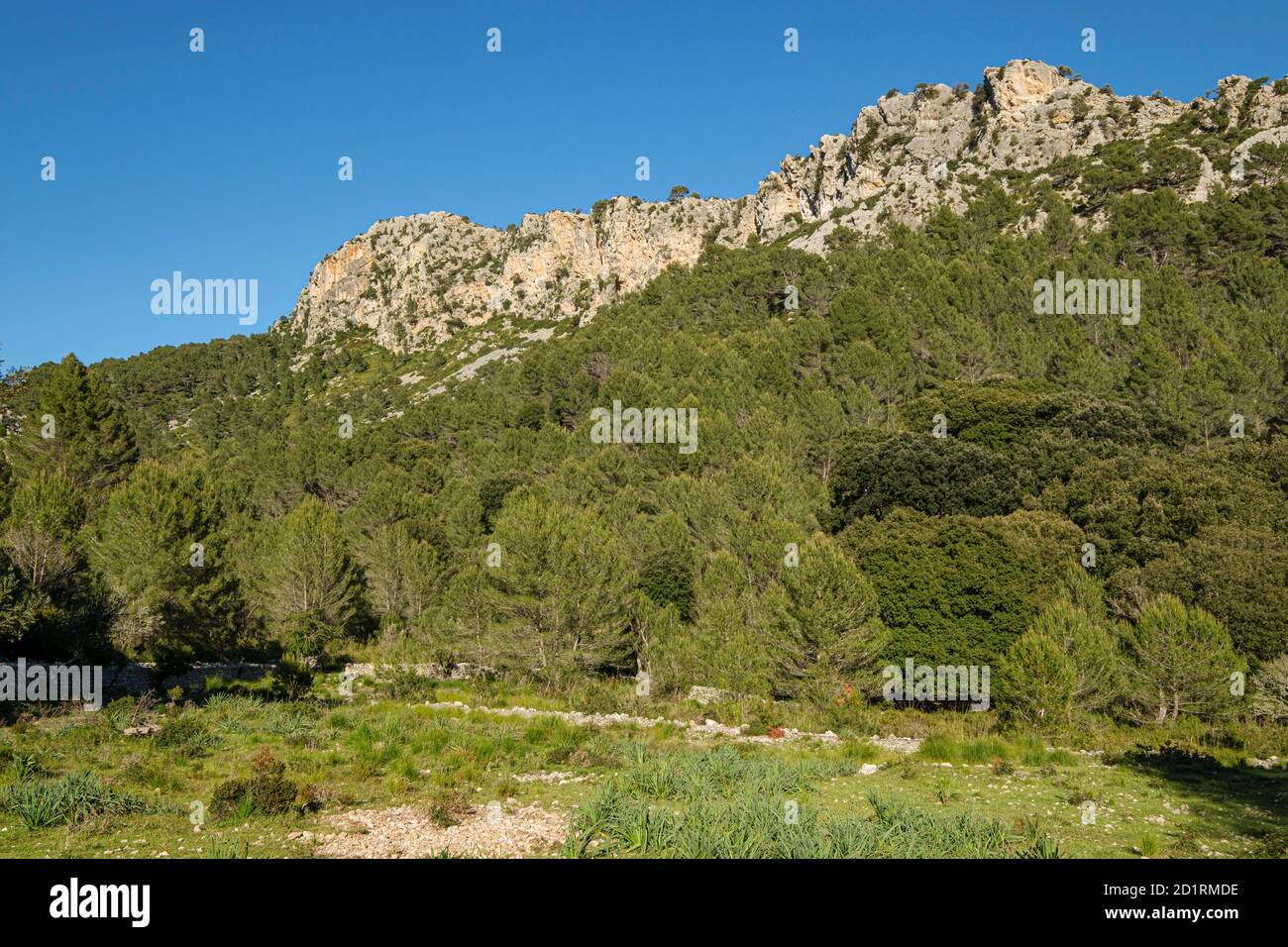 Sa Capella Blava, 682m, valle de Alcanella, ses Figueroles, Selva, Majorque, Iles Baléares, Espagne Banque D'Images