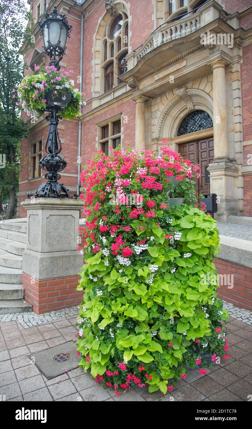 Belle composition florale dans la rue Banque D'Images
