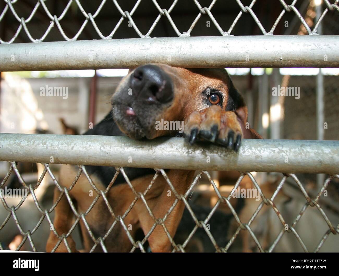 Kywdvs Banque D Image Et Photos Alamy