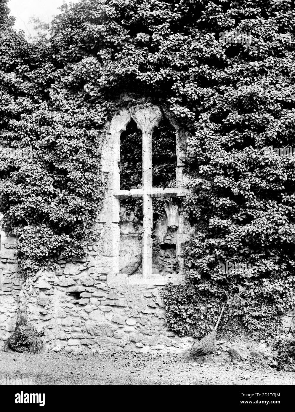 ABBAYE DE NETLEY, Netley, Hampshire. Ivy couvrant l'abbaye encadre une fenêtre dans la salle de jour. Fondée au XIIIe siècle, Netley est le monastère cistercien le plus complet du sud de l'Angleterre. Même en ruines, l'abbaye a continué d'être influente, inspirant des écrivains et des poètes romantiques. Il est maintenant sous la garde du patrimoine anglais. Photographié en 1890 par Henry Taunt. Banque D'Images